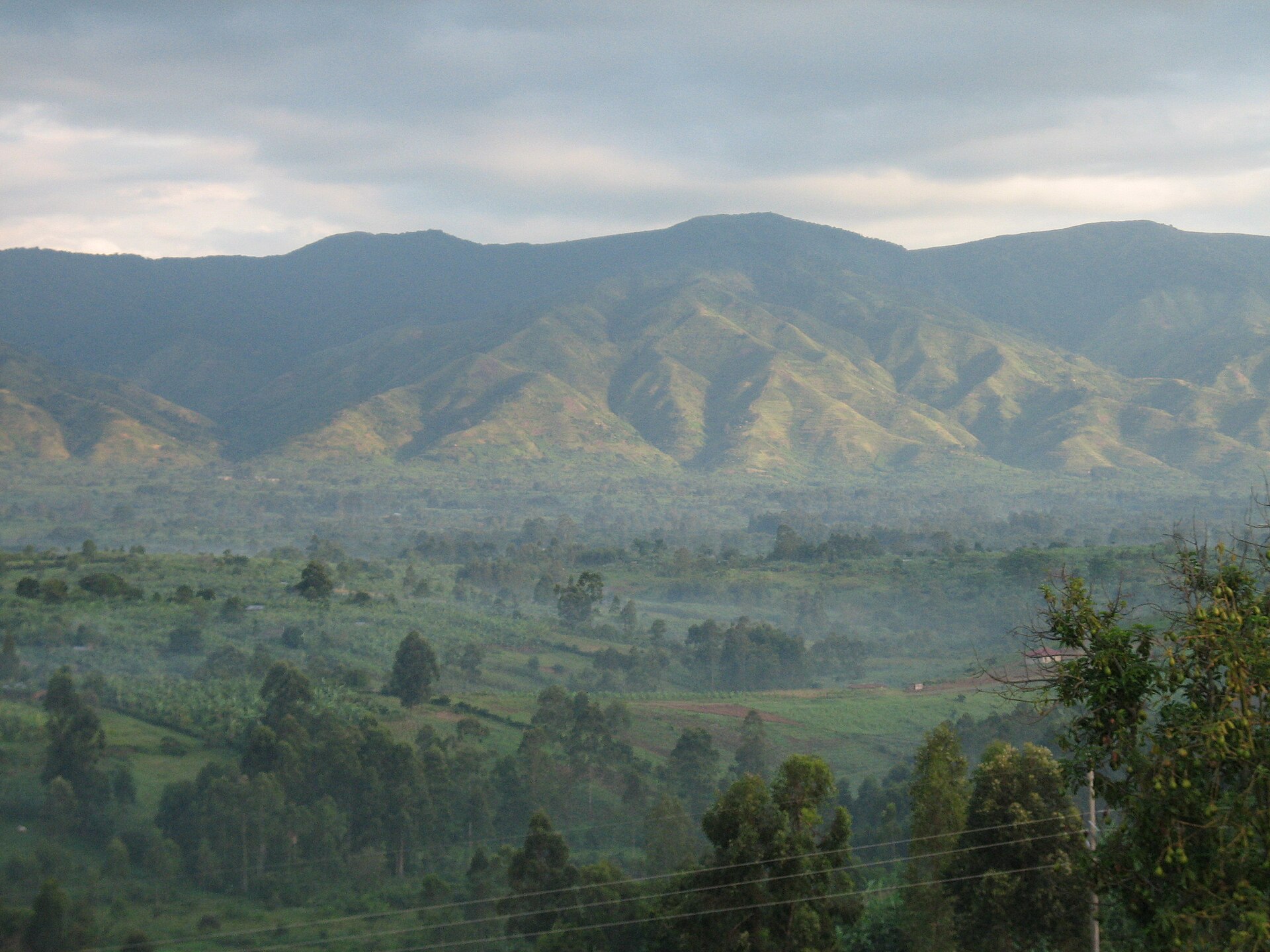 Green ridges of the Rwenzori Mountains rising above farmland and trees in the valley below, under an evening sky.